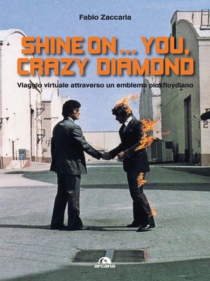 cover image of Shine on...you, crazy diamond